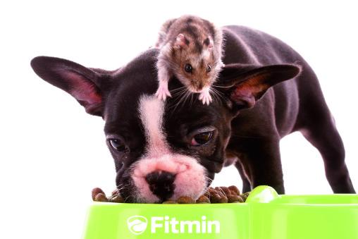 Máte malé poprsí? Nezoufejte!