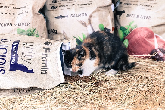 Vyhrajte balení dobrůtek pro vašeho kočičího mazlíčka