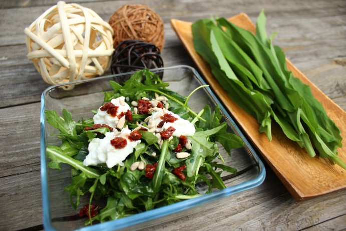 Období medvědího česneku je tu!