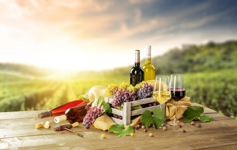 Podle čeho vybrat správné víno?