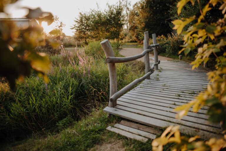 Příběh české aromaterapeutické kosmetiky Nobilis Tilia