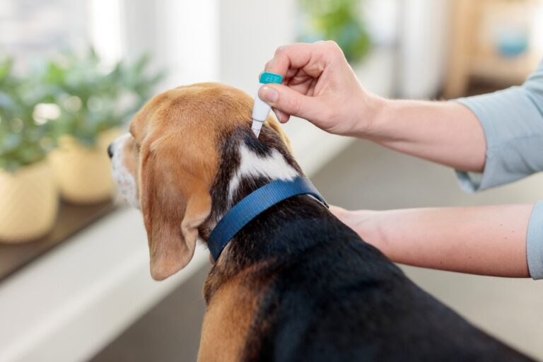 Blížící se jaro probouzí i drobné upíry