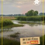 Billa začíná revitalizovat jedenáct vodních ploch