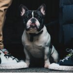 Nejoblíbenější tenisky hollywoodských celebrit
