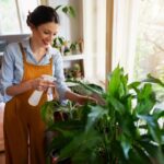 Urban Jungle, buďte i ve městě blíž přírodě