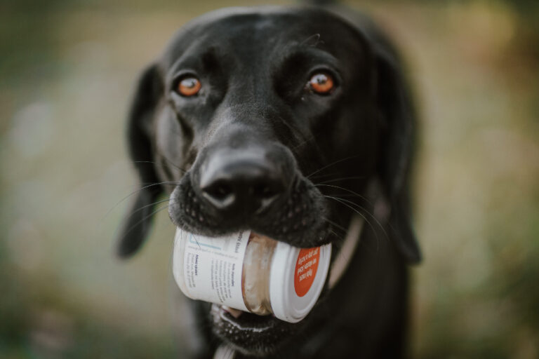 Hrajte o testovací balíček produktů firmy ŽRASO pro vašeho pejska