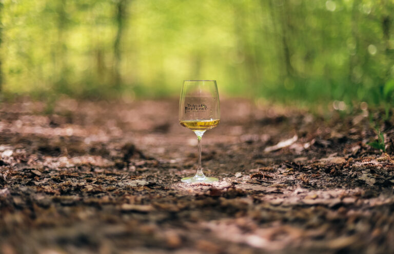 Na výlet s Táborským festivalem vína!