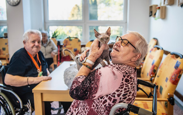 Den duševního zdraví: Už jste někdy vyzkoušeli terapeuta, který vrní?