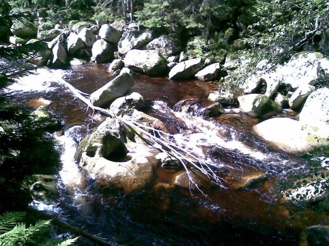 Za divokou krásou Šumavy: Naučná stezka Povydří