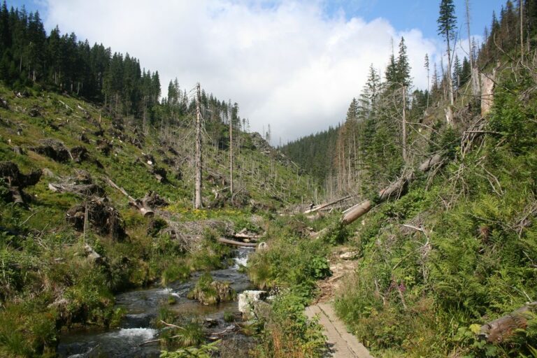 Údolím vodopádů: Naučná stezka Bílá Opava